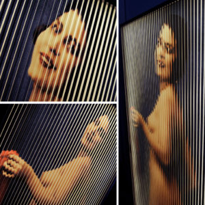 1930s Miss Europe Unveiled - Vanishing Vintage Erotica - 58x22 Lightbox