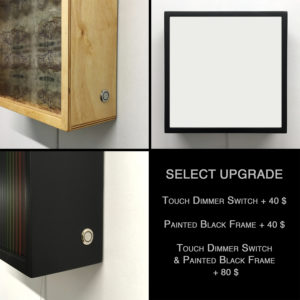Upgrade Option Package :: Painted black frame / Touch dimmer switch