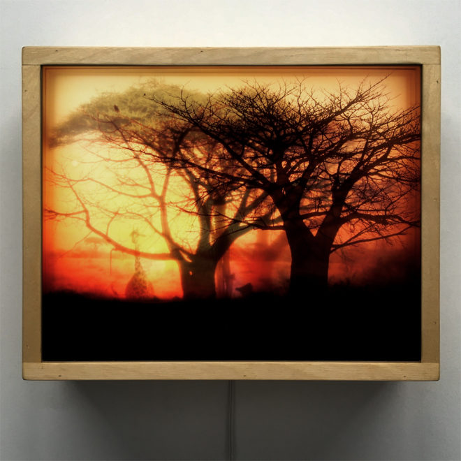 Safari Africa Travelogue Savanna Sunset on Fire - 9x11 Lightbox by Mini-Cinema