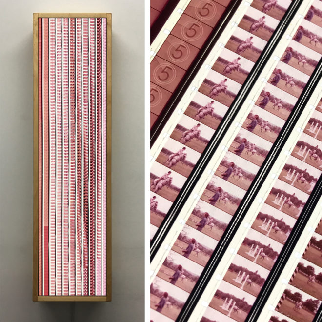 Les Chevaux ont-ils des Ailes 1975 Gilles Carle - 16mm Film Collage - 28x7 Lightbox by Hugo Cantin : Mini-Cinema