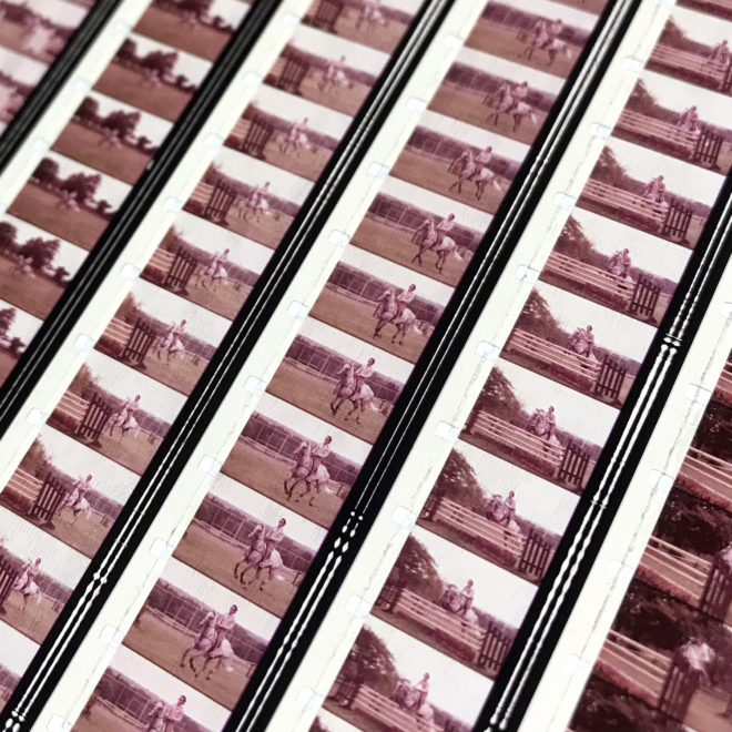 Les Chevaux ont-ils des Ailes 1975 Gilles Carle - 16mm Film Collage - 28x7 Lightbox by Hugo Cantin : Mini-Cinema -close2