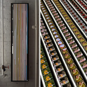 Love for Sale by Frank Sinatra Jr. 1965 Scopitone - 16mm Film Collage - Lofty 58x14 Lightbox by Hugo Cantin : Mini-Cinema _mix