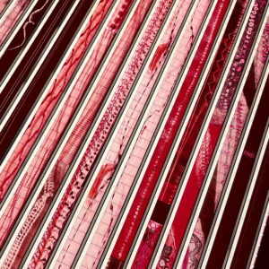 Begone Dull Care 1949 Norman McLaren v2 - 16mm Film Collage - Lofty 30x30 Lightbox by Hugo Cantin : Mini-Cinema _close2