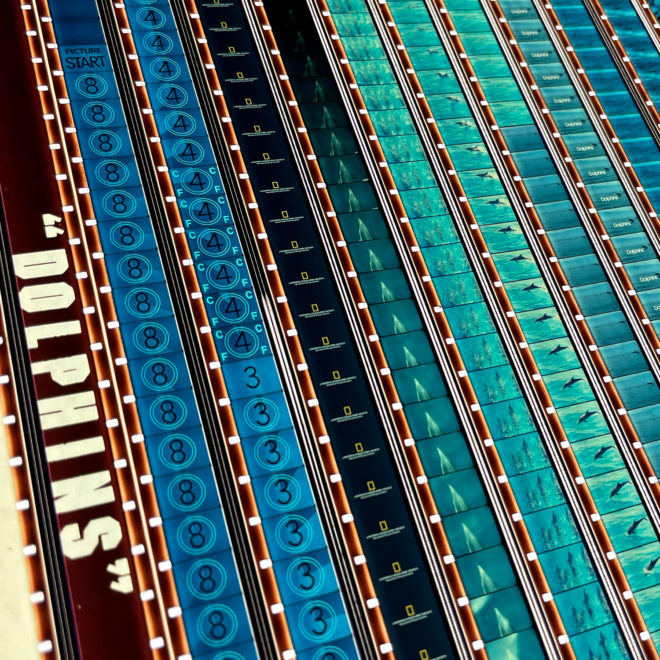 Dolphins 1983 National Geographic Doc - 16mm Film Collage - Lofty 30x30 Lightbox by Hugo Cantin : Mini-Cinema _close1