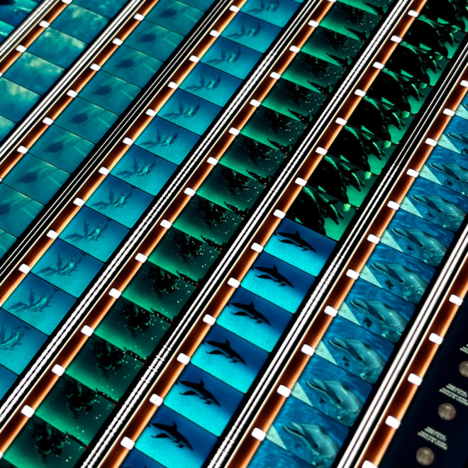 Dolphins 1983 National Geographic Doc - 16mm Film Collage - Lofty 30x30 Lightbox by Hugo Cantin : Mini-Cinema _close4