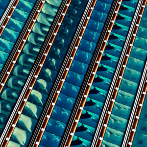 Dolphins 1983 National Geographic Doc - 16mm Film Collage - Lofty 30x30 Lightbox by Hugo Cantin : Mini-Cinema _close5