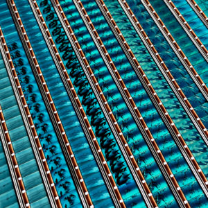 Dolphins 1983 National Geographic Doc - 16mm Film Collage - Lofty 30x30 Lightbox by Hugo Cantin : Mini-Cinema _close6