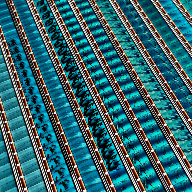 Dolphins 1983 National Geographic Doc - 16mm Film Collage - Lofty 30x30 Lightbox by Hugo Cantin : Mini-Cinema _close6