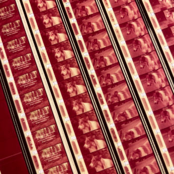 Pink Lassie TV Show - 16mm Film Collage - 11x9 Lightbox by Mini-Cinema : Hugo Cantin _close1