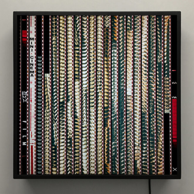 Luminous Skins 1971 - 16mm Film Collage - 14x14 Lightbox by Mini-Cinema - Hugo Cantin _FRONT